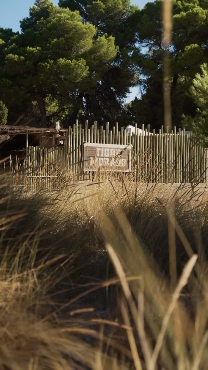 Entrada de Tigre Morado Ibiza con valla de bambú y pinos de Ibiza